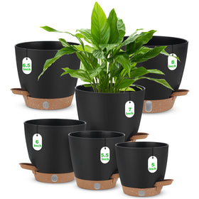 Ezmixcoop self-watering planter set with visual water level for easy moisture monitoring.