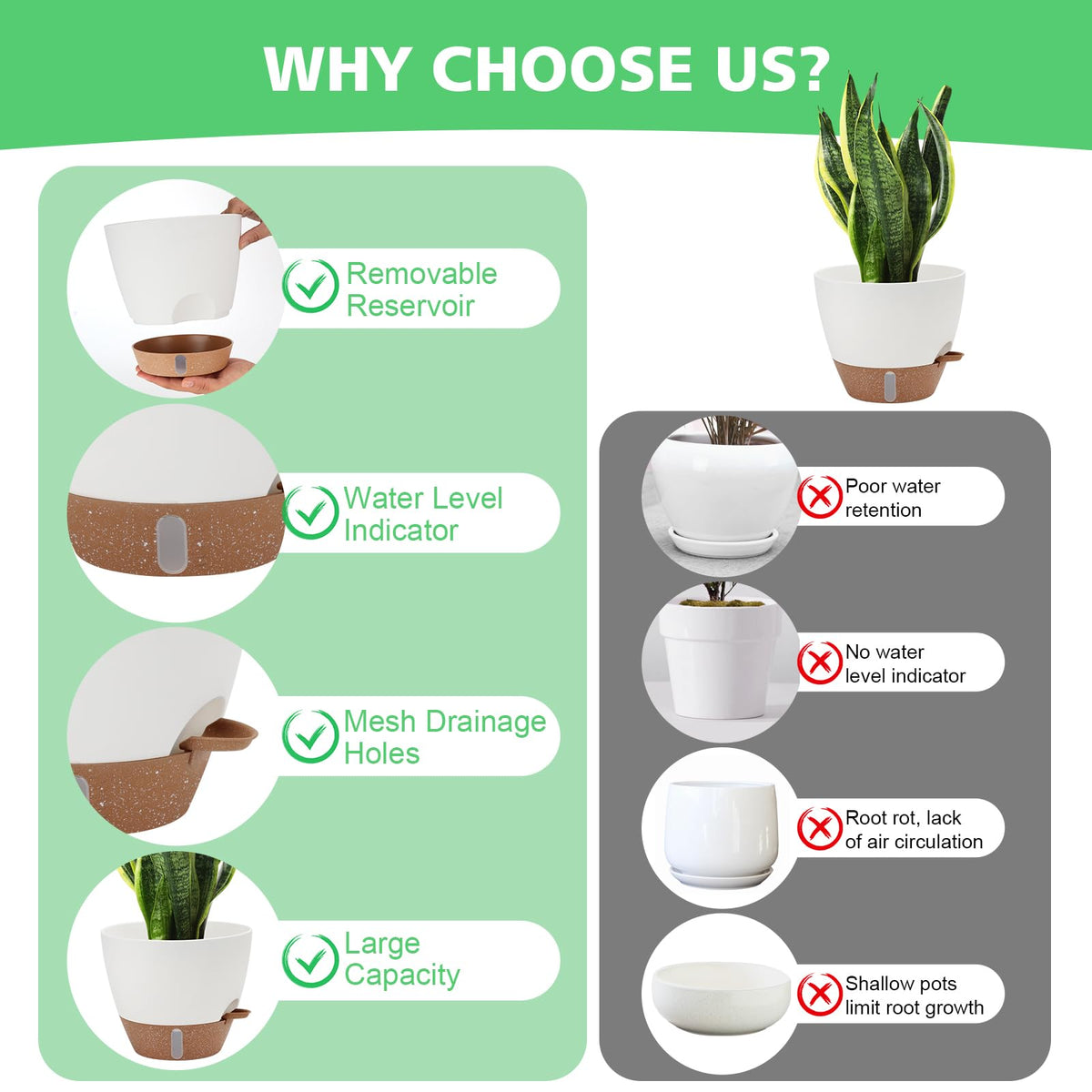 Ezmixcoop 9 inch self-watering pot showing water window and roomy interior