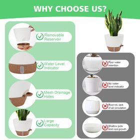 Ezmixcoop 9 inch self-watering pot showing water window and roomy interior