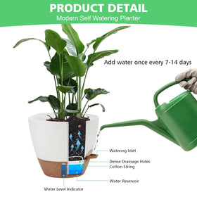 Ezmixcoop pot with removable saucer for clean refills