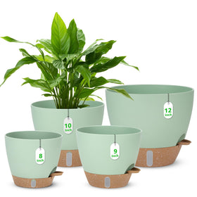 Ezmixcoop 12-inch pot with water level indicator for easy moisture monitoring.