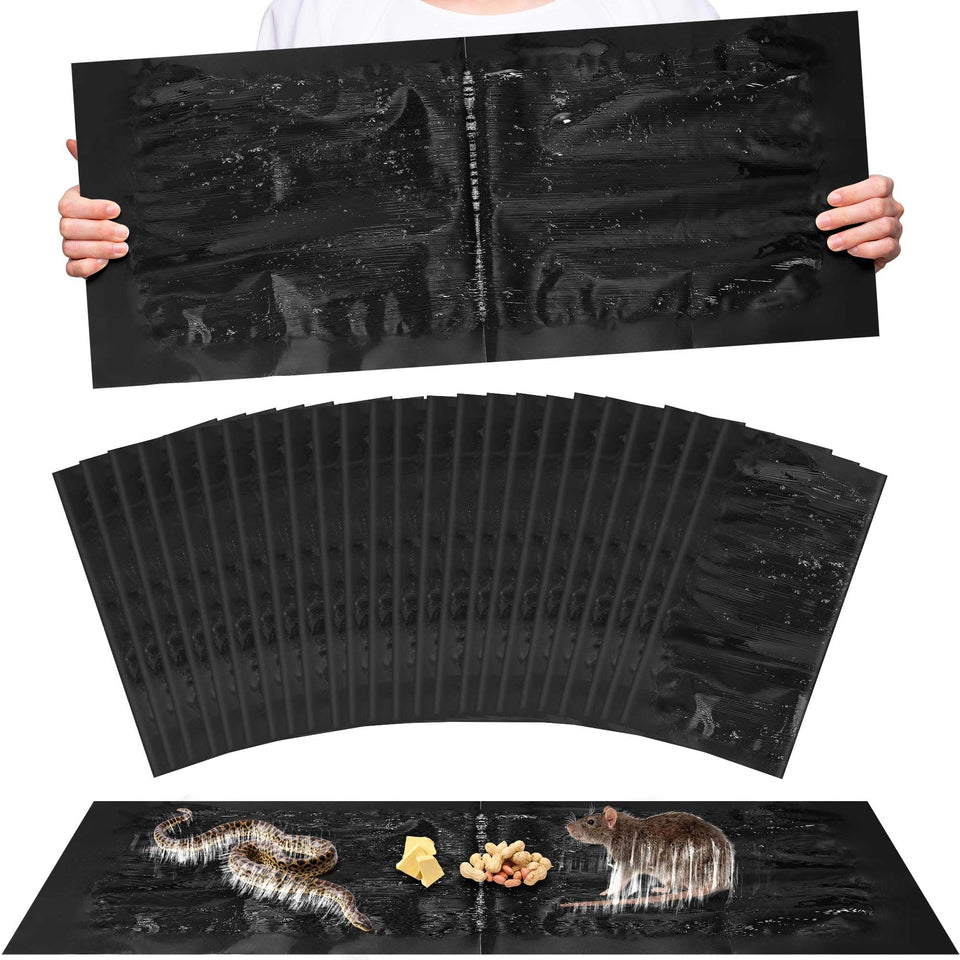 Ezoon 24 pack super sticky rat traps ready to capture rodents indoors.