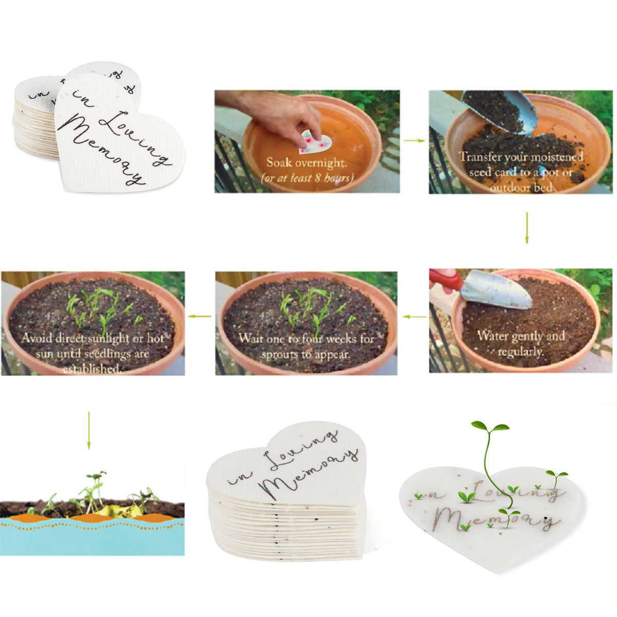 Ezoon biodegradable seed paper card designed to decompose