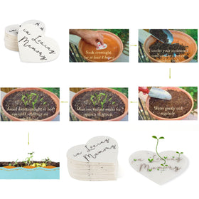 Ezoon biodegradable seed paper card designed to decompose