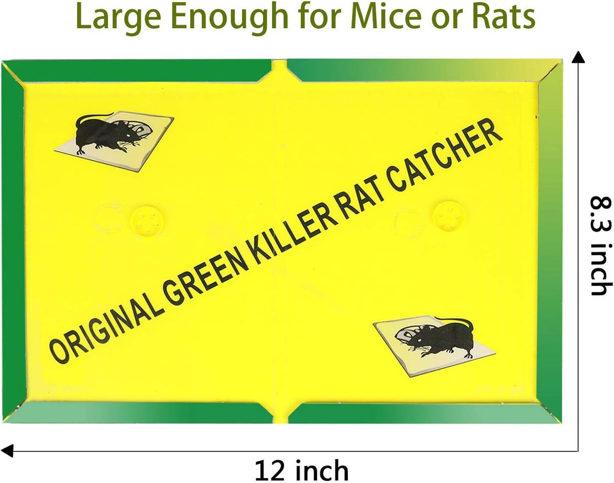 Ezoon glue trap setup shows bait placement for effective targeting.