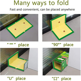 Ezoon extra-large 8.3 x 12 inch traps catch larger pests effectively.