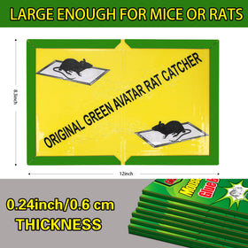 Ezoon bait-centered sticky trap increases capture chances.