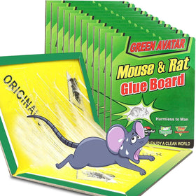 Ezoon large mouse glue trap 12-pack with enhanced adhesive for trapping pests.