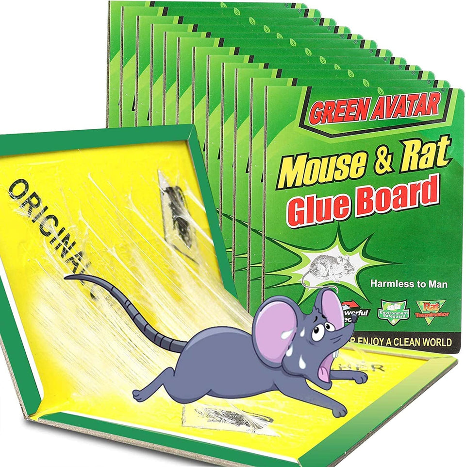 Ezoon large mouse glue trap 12-pack with enhanced adhesive for trapping pests.