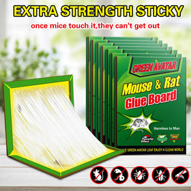 Ezoon glue trap with easy-set design for hassle-free pest control.