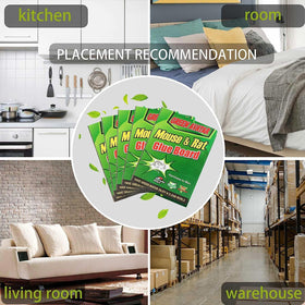 Ezoon 12-pack provides reliable pest control for kitchens and stores.