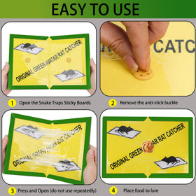 Ezoon glue-board bait centered for effective lure without touching pests