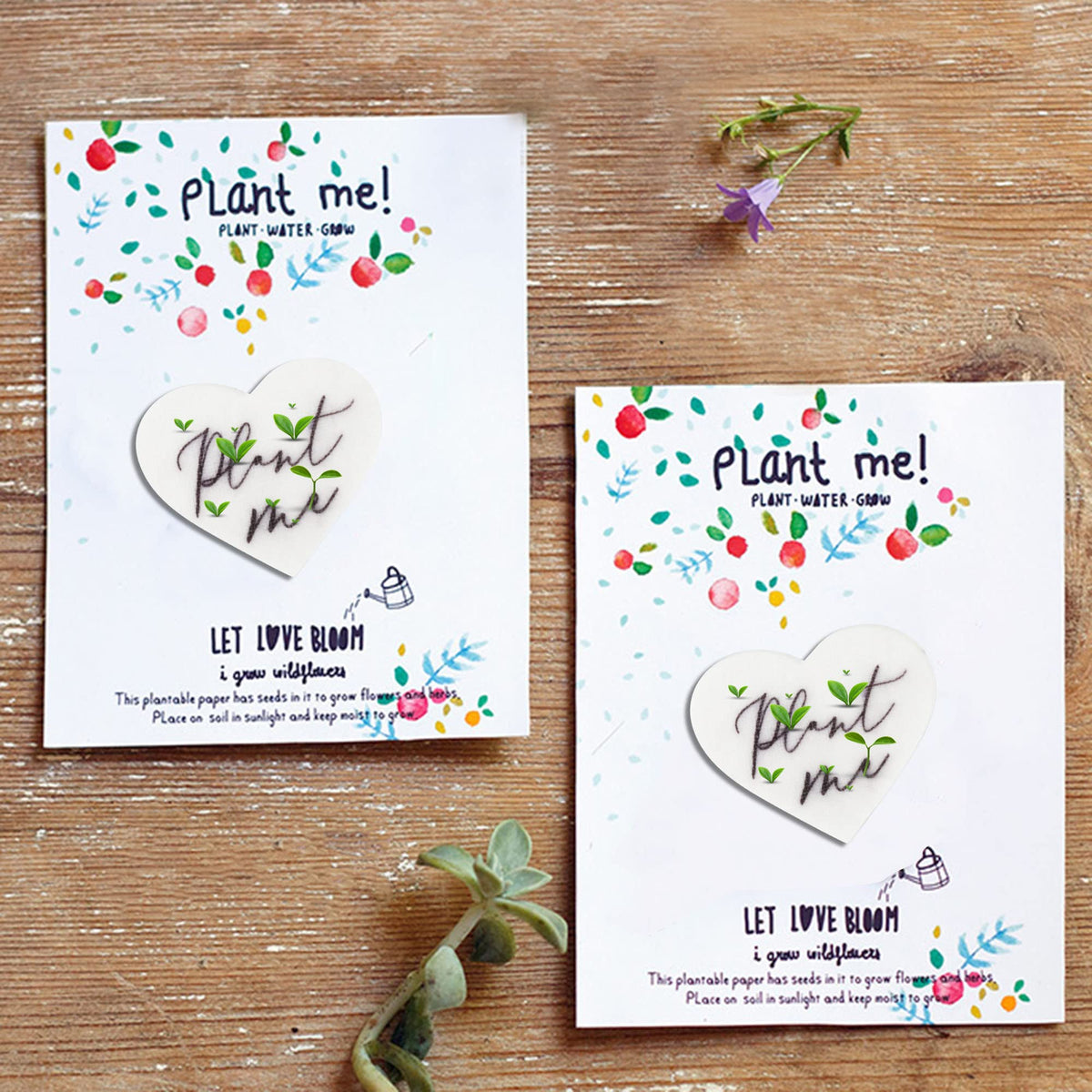 Ezoon wedding favor packaging options with plantable paper