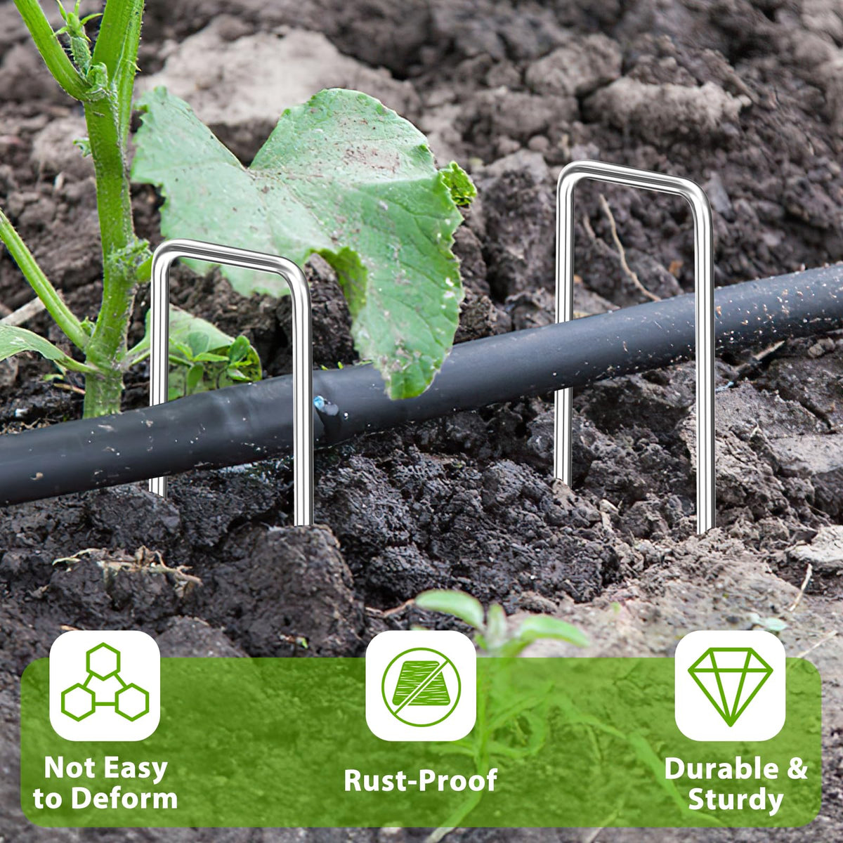 FAAYUCK flat-top stake designed for effortless hammering and quick repositioning