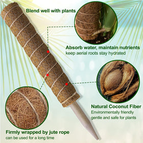 Close-up of Fabulas coco coir material providing natural growth support.