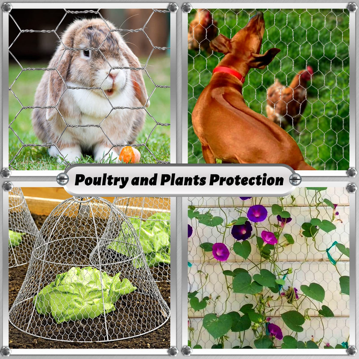 Fabulas DIY crafts using chicken wire for creative projects