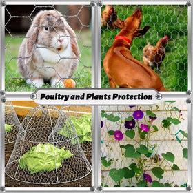 Fabulas DIY crafts using chicken wire for creative projects
