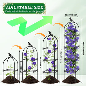 Fabulas Garden Obelisk Trellis supports roses with vertical growth.