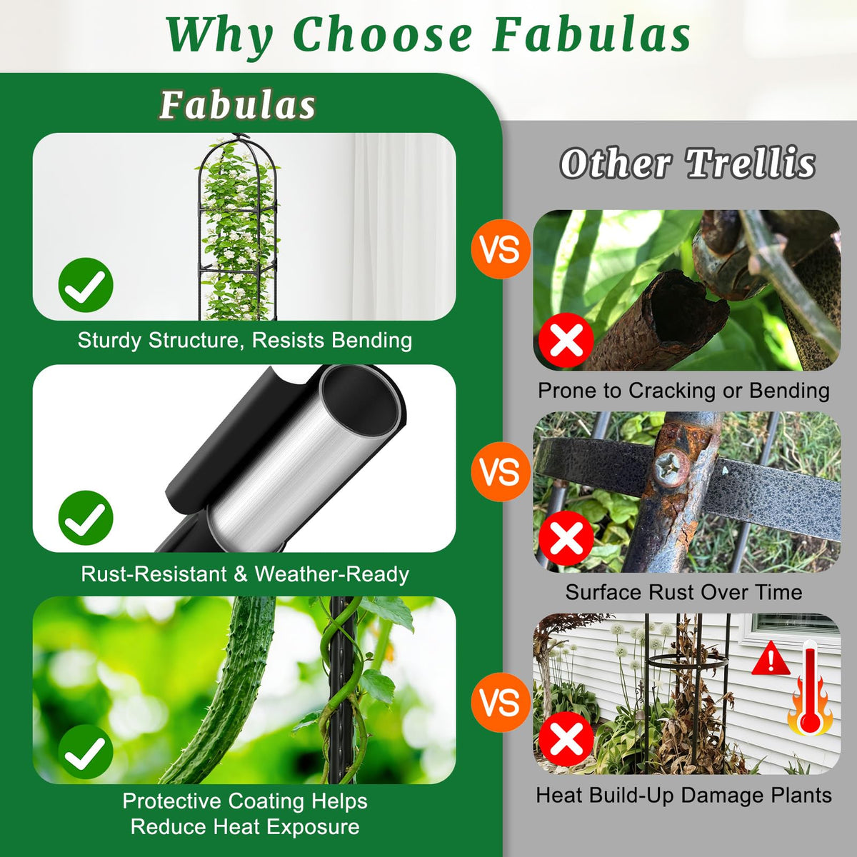 Fabulas trellis aids tomato and bean climbing in compact spaces.