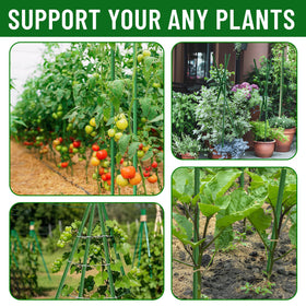 Fabulas 4ft garden stakes enable trellis and vertical growth.