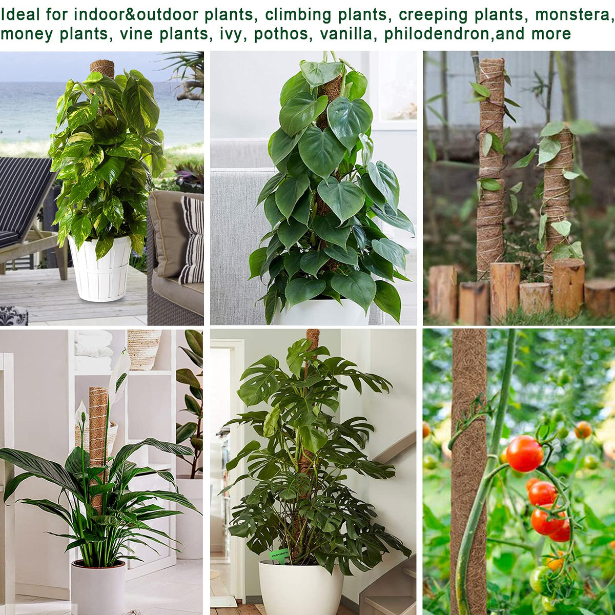 Fabulas garden ties bundle included for easy plant attachment.