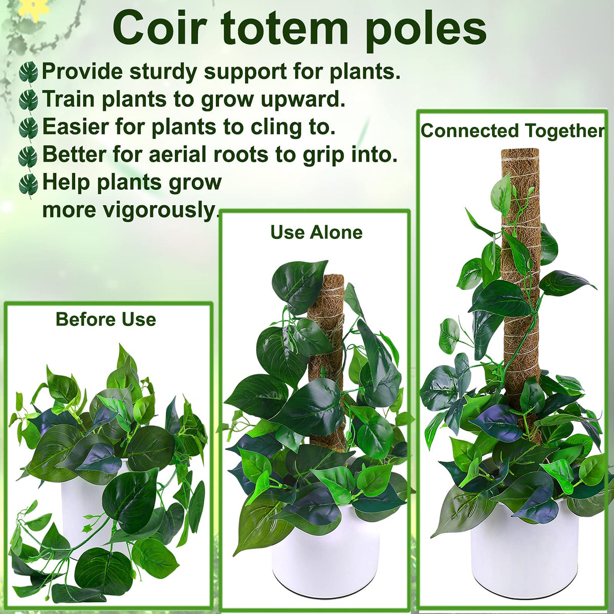 Fabulas 12-inch moss pole provides sturdy plant support for small pots