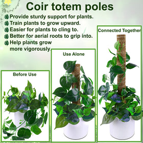 Fabulas moss pole 2-pack 20.5-inch stakes stabilize climbing plants indoors.