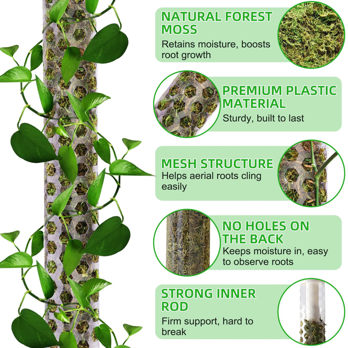 Fabulas 4-pack 17-inch stakes ideal for training climbing plants like pothos