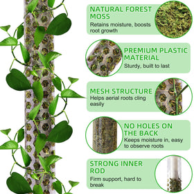 Fabulas 4-pack 17-inch stakes ideal for training climbing plants like pothos