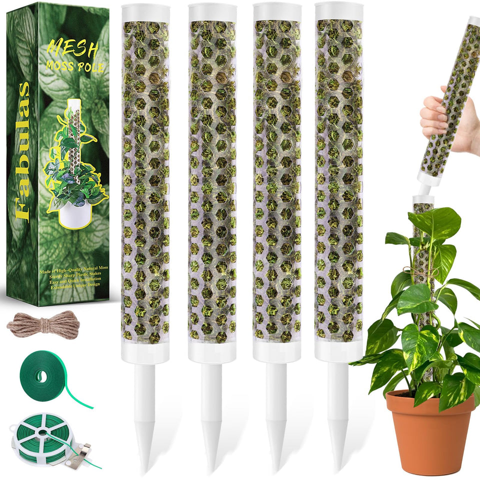 Fabulas 55-inch moss pole supporting Monstera for upright growth and moisture retention