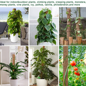 Fabulas extendable design stacks to 36 inches for taller plants.