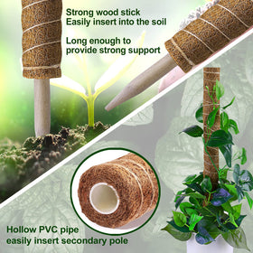 Fabulas moss pole with jute rope wrapper enhances grip for aerial roots.