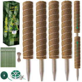 Fabulas packaging box shown for quick setup.