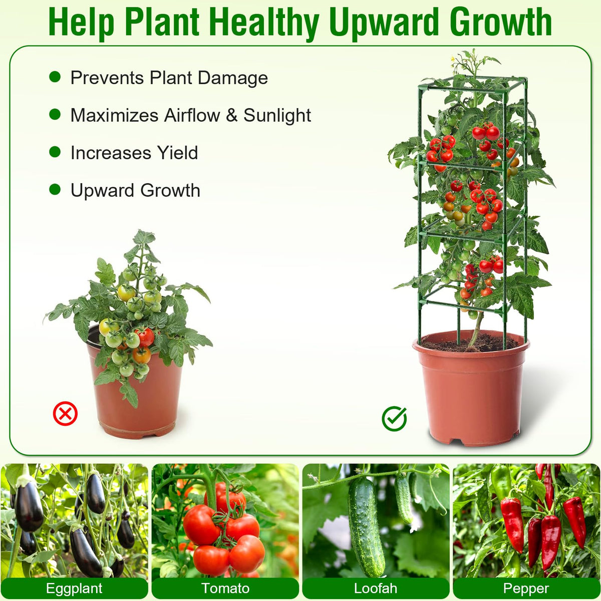 Fabulas garden use supports tomatoes, cucumbers, and flowering climbers for better yields.