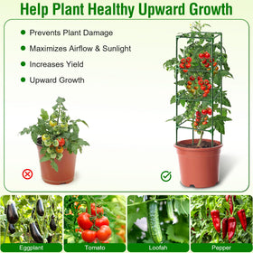 Fabulas garden use supports tomatoes, cucumbers, and flowering climbers for better yields.