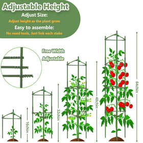 Fabulas green-coated cages provide rust-resistant protection for long-lasting outdoor tomato trellising.