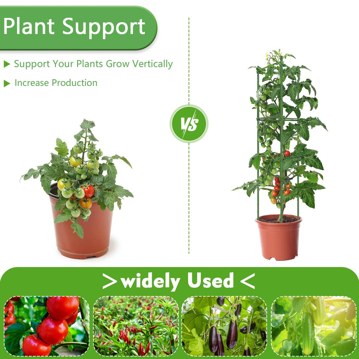 Fabulas multi-functional stakes support tomatoes, eggplants, beans, and other climbers.