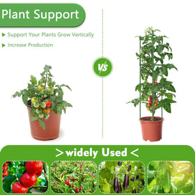 Fabulas multi-functional stakes support tomatoes, eggplants, beans, and other climbers.