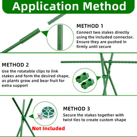 Fabulas tomato stake setup supports seedlings through harvest