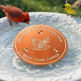 Factee bird bath copper disk 0.6mm thick helps keep water clearer.