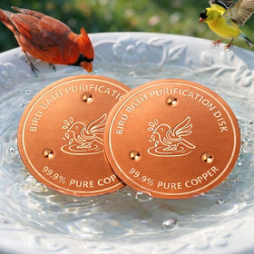 Factee bird bath copper disk 0.6mm improves water clarity in non-metal baths.