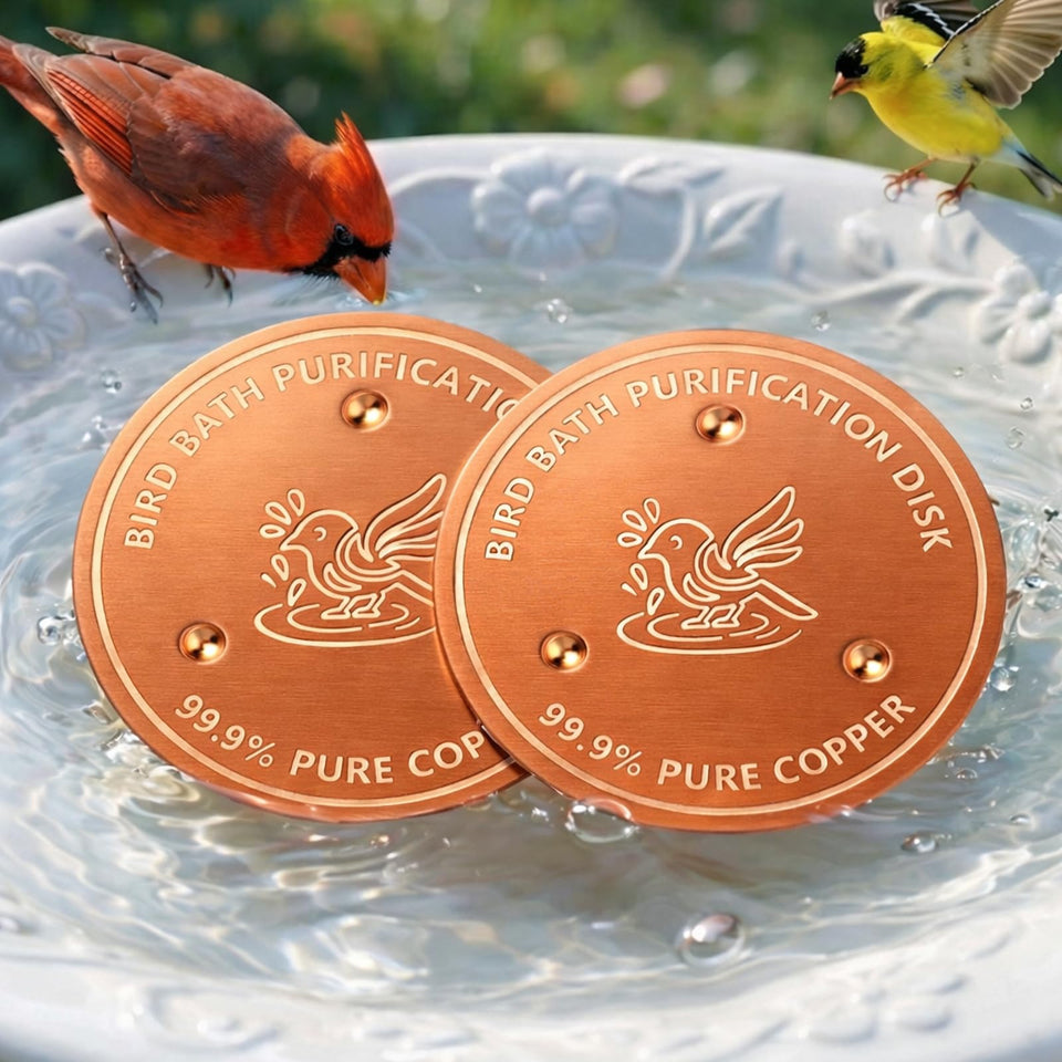 Factee bird bath copper disk 0.6mm improves water clarity in non-metal baths.