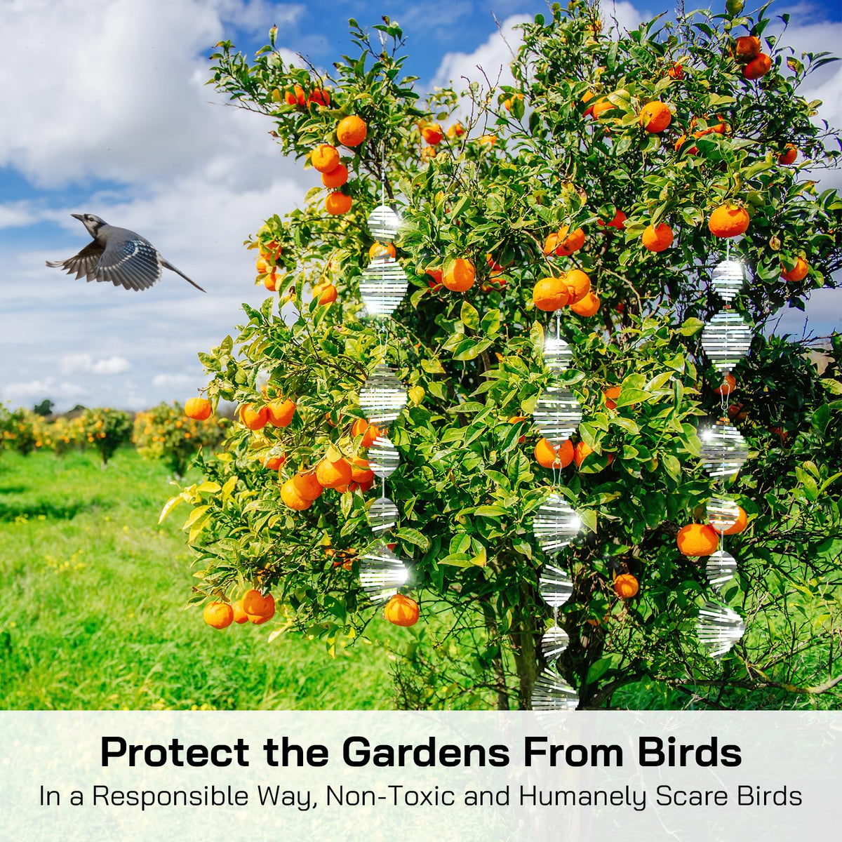 Factee sunlight reflection offers gentle, wildlife-friendly bird discouragement on patios.