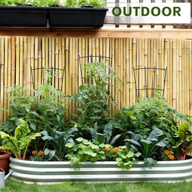 FAFTFTDY balcony-friendly trellis enhances plant organization