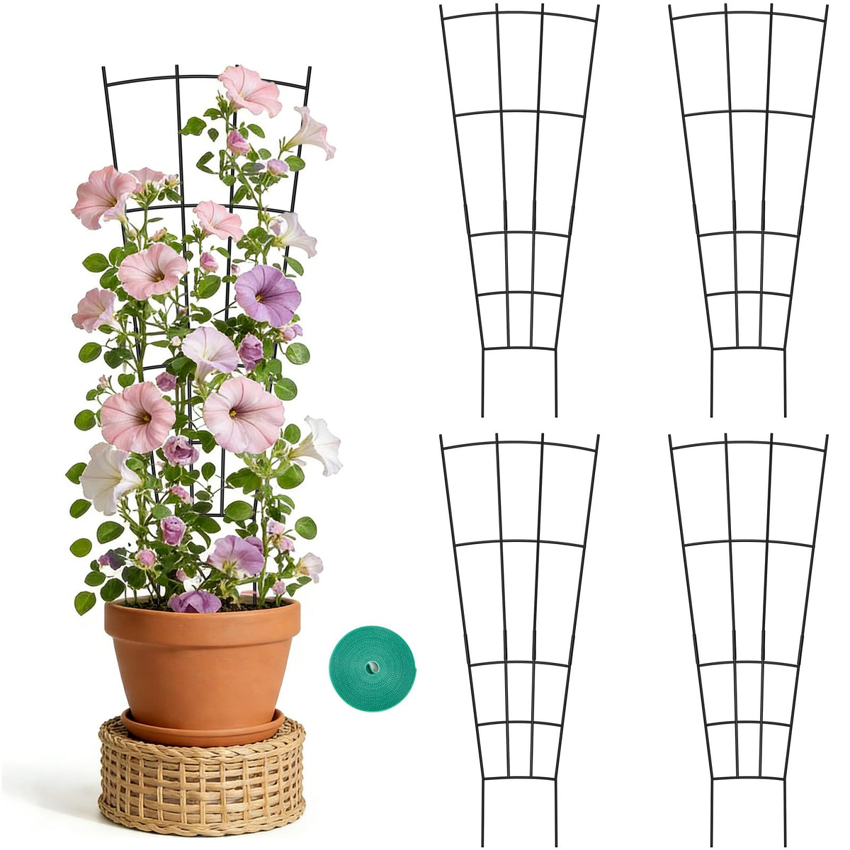 FAFTFTDY fan-shaped trellis ready for climbing ivy and vines
