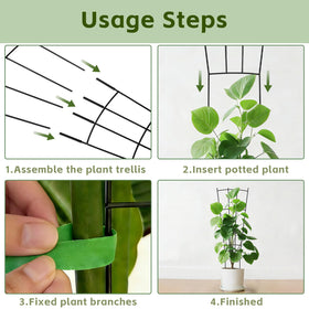 FAFTFTDY trellis includes plant ties for secure stems
