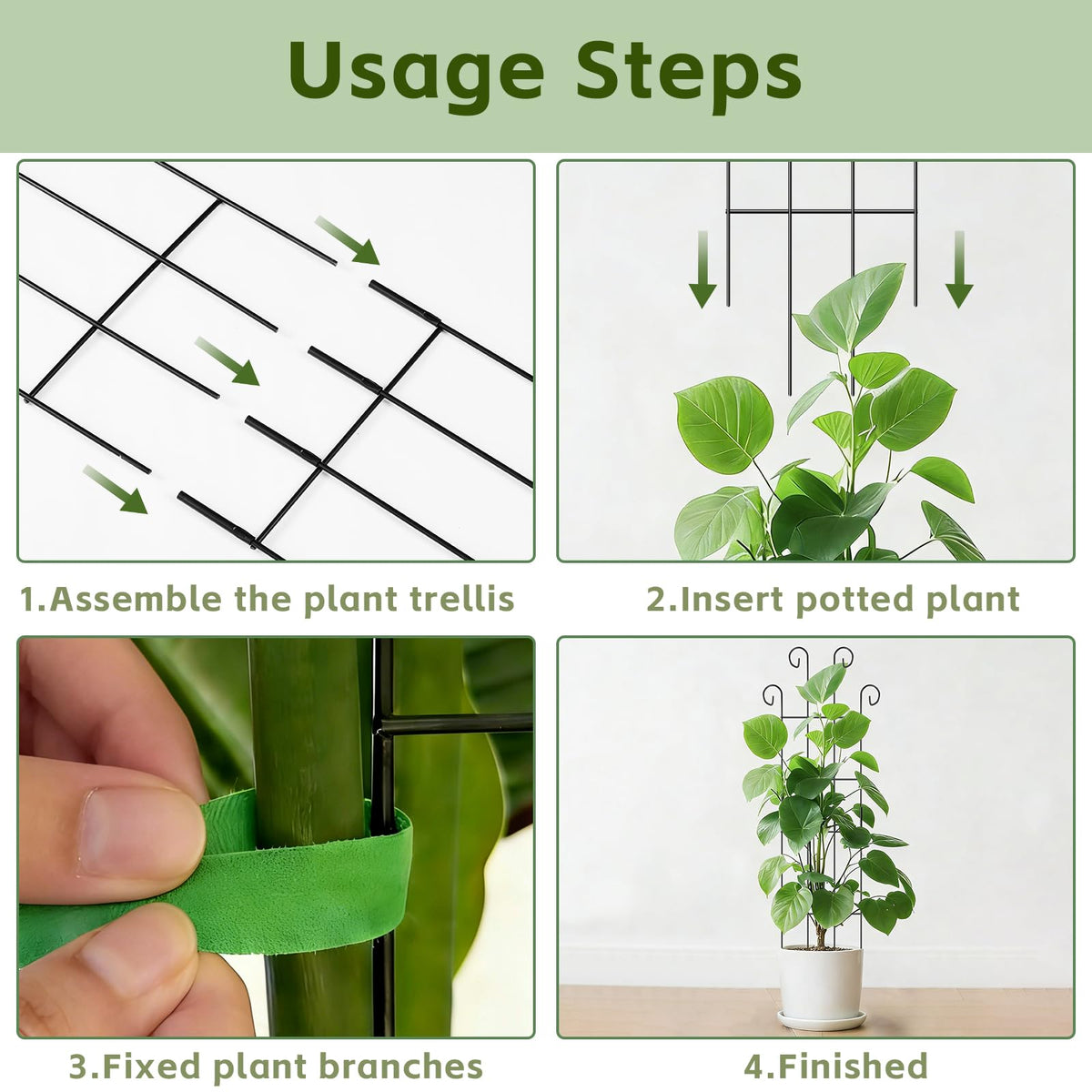 FAFTFTDY ideal for monstera and ivy climbing plants.