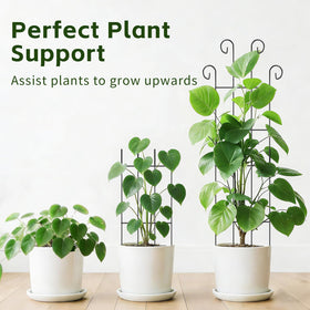 FAFTFTDY outdoor-friendly coating resists rust and bending.