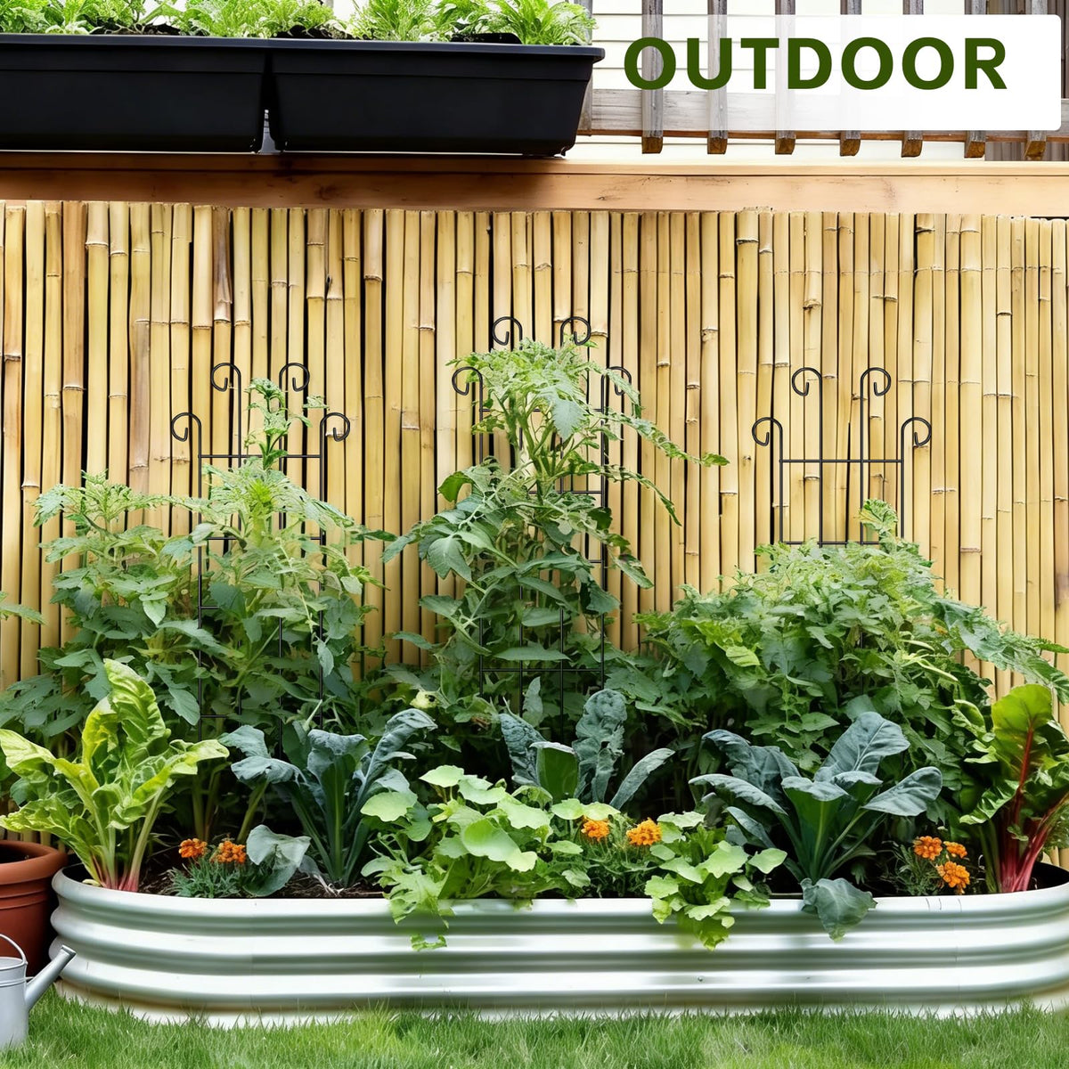 FAFTFTDY two-piece extendable design fits growing vines.