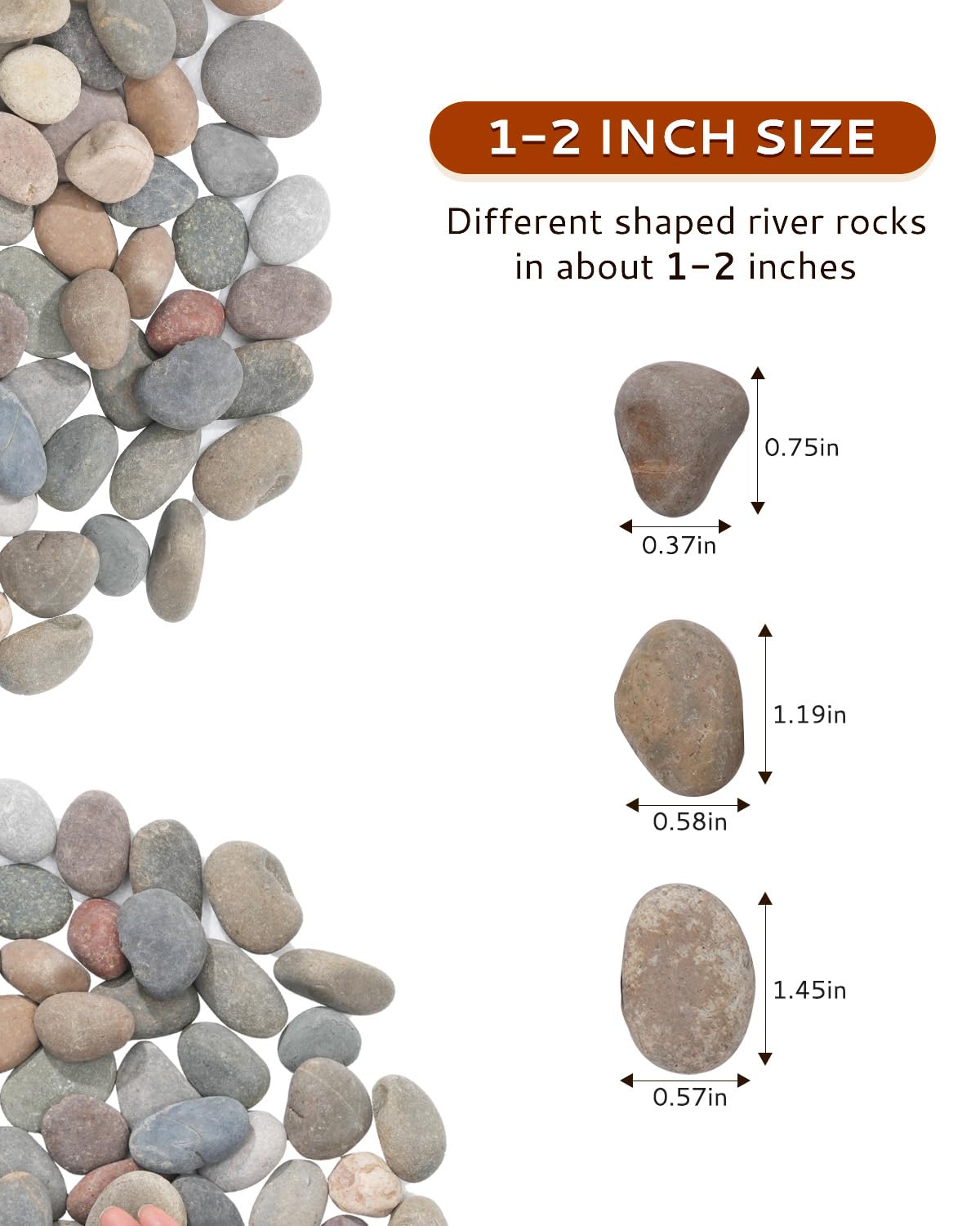 FAHAXIKI 1-2 inch plant rocks enhance potted plants safely.